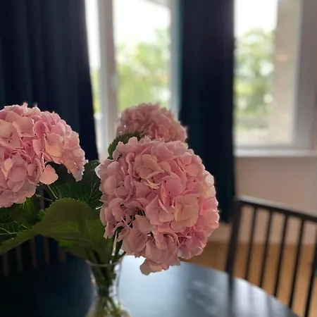 아파트 Beautiful With Balcony *