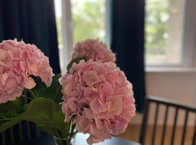 아파트 Beautiful With Balcony *